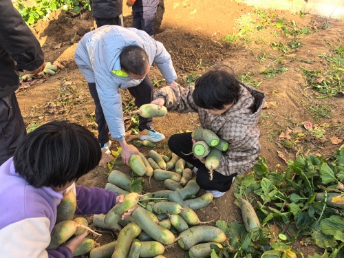 lQDPJwYGWdF_tnfNDADNEACwKaBUYdGSiGQI-vhXGZo6AA_4096_3072.jpg lQDPJwYGWdF_tnfNDADNEACwKaBUYdGSiGQI-vhXGZo6AA_4096_3072.jpg